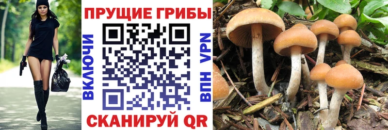 Галлюциногенные грибы ЛСД даркнет сайт Буинск